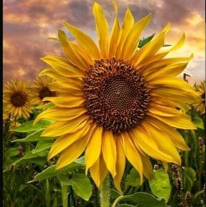 Meet your Posher, Bianca